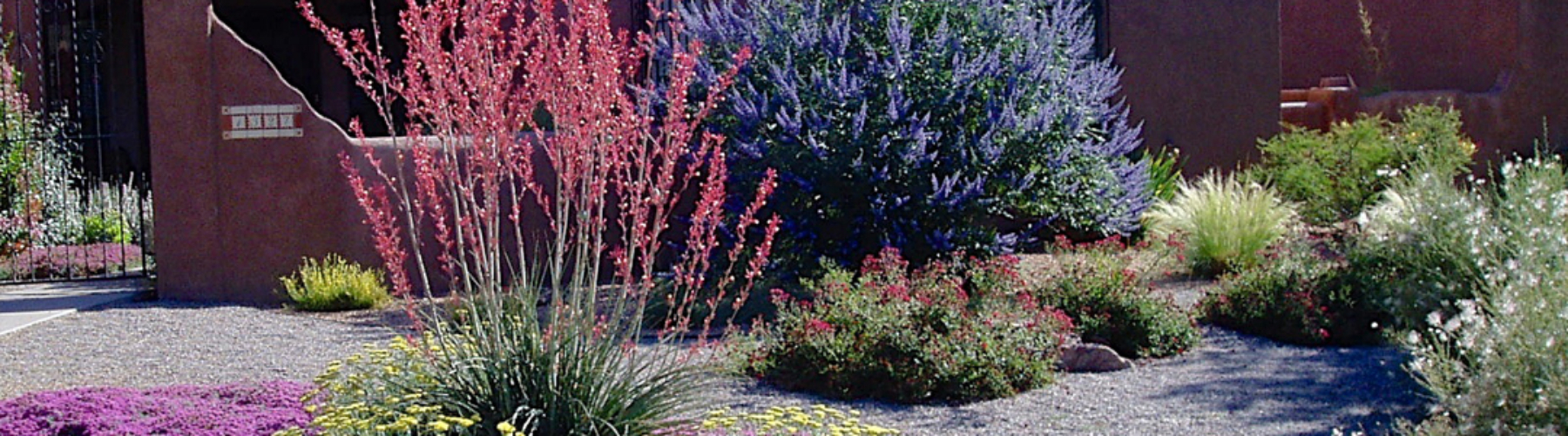 Southwest home with xeriscaped landscape