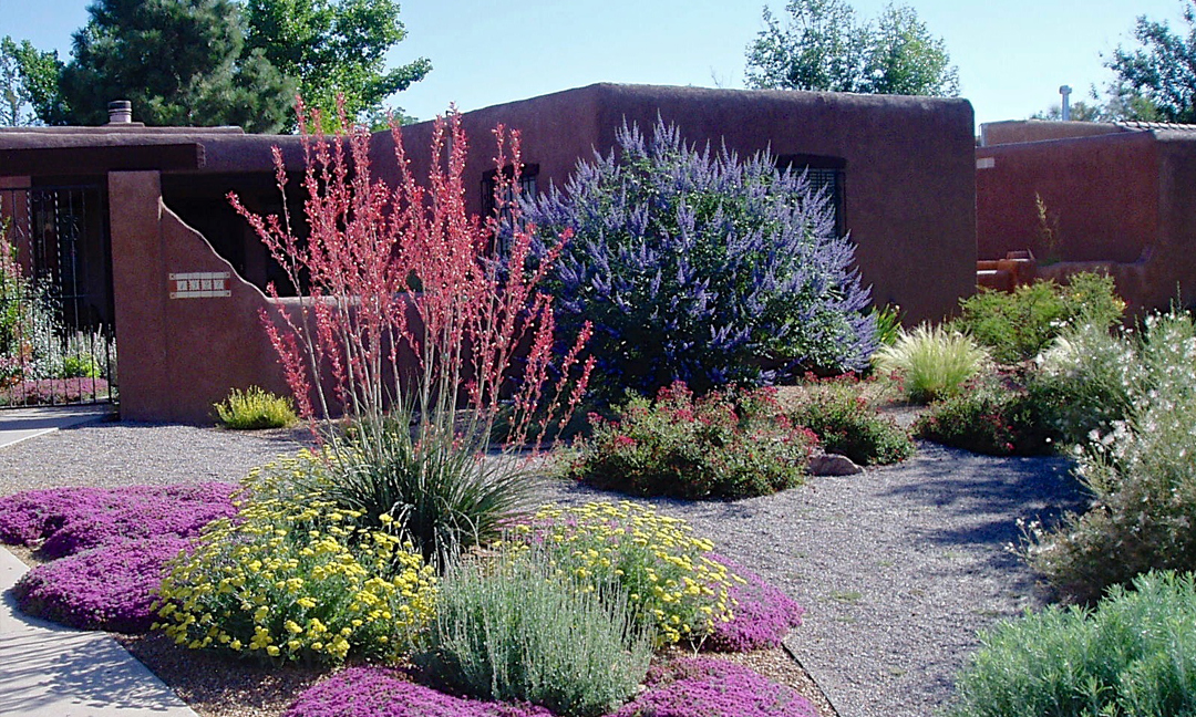 Southwest home with xeriscaped landscape
