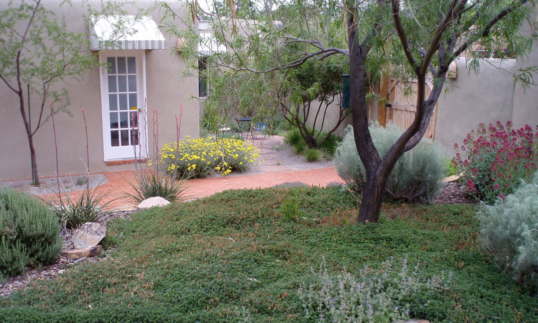 Southwest home with xeriscape
